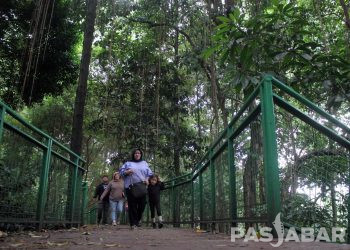 FOTO : HUTAN KOTA BABAKAN SILIWANGI