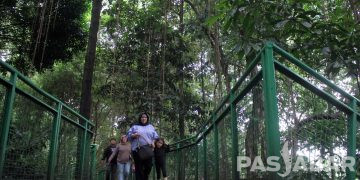 FOTO : HUTAN KOTA BABAKAN SILIWANGI