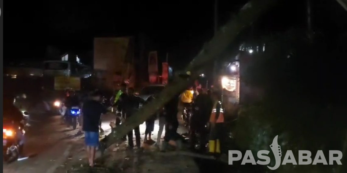 Pengendara Motor Tertimpa Pohon Tumbang di Lembang