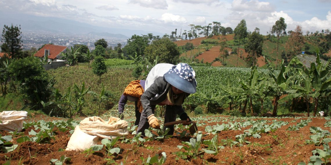 Foto: 70 Persen Lahan Kawasan Bandung Utara Beralih Fungsi