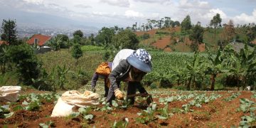 Foto: 70 Persen Lahan Kawasan Bandung Utara Beralih Fungsi