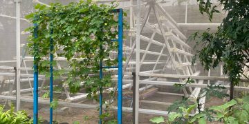 RW 01 Kelurahan Kebongedang Bandung jadi Bandar Obat