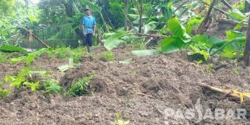 Arus Lalu Lintas Saguling-Rajamandala Lumpuh Akibat Longsor