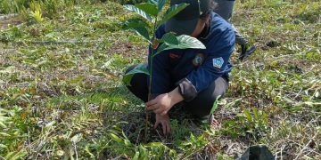Belantara Foundation Kampanyekan Program Restorasi Lahan Gambut melalui Agroforestri di Hari Lahan Basah Sedunia