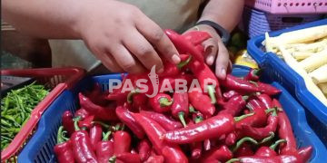 Jelang Lebaran Harga Cabai Merah Tembus 80 Ribu Rupiah