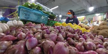 Harga Bawang Melonjak Naik
