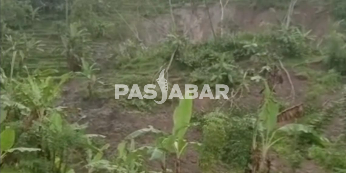 Tebing 100 Meter Longsor di Kawasan Gunung Halu