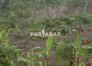 Tebing 100 Meter Longsor di Kawasan Gunung Halu