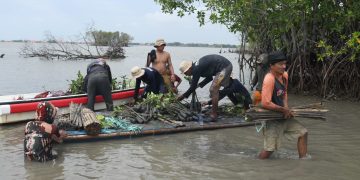 Bio Farma Tanam 4.000 Mangrove untuk Peringati Hari Bumi Sedunia