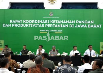 Pemprov Jabar Lakukan Pembenahan Ketahanan Pangan dan Produktivitas Pertanian