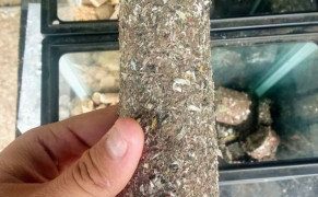 inovasi pengolahan sampah