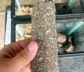 inovasi pengolahan sampah