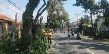Polresta Bandung Pangkas Pohon di Kawasan Soreang yang Halangi Pengendara   