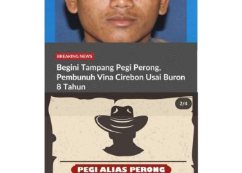 pegi setiawan