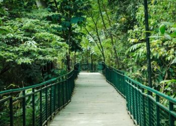 hutan babakan siliwangi