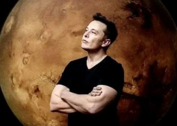 Disambut Bak Raja, Elon Musk hanya Gelontorkan Investasi Rp 30 Miliar