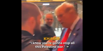 Khabib Minta Donald Trump Hentikan Agresi Israel ke Palestina