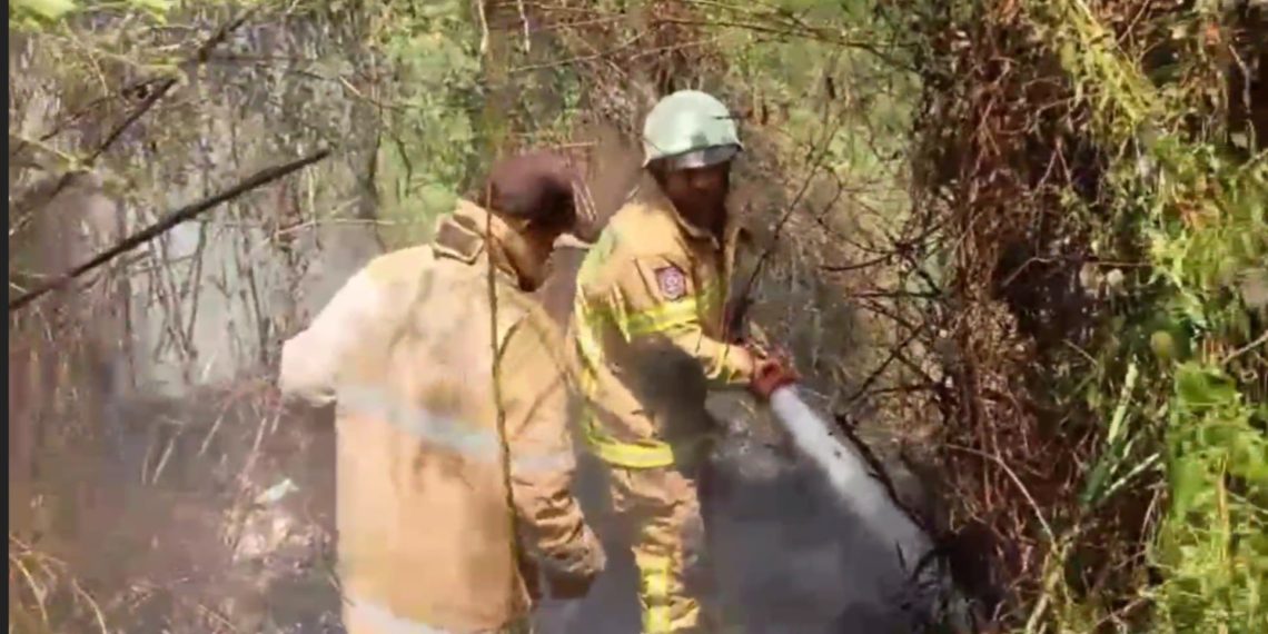 kebakaran lahan padalarang