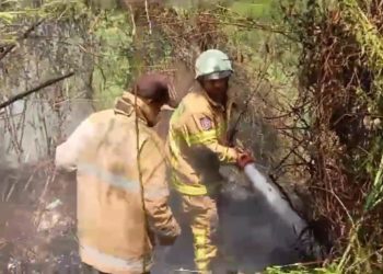 kebakaran lahan padalarang