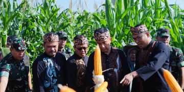 Buka Gebyar Perbenihan, Wamentan Sudaryono Genjot Akselerasi Swasembada Pangan