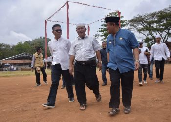 lomba merpati tinggi bupati cup
