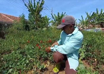 Perumda Tirta Raharja