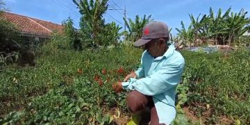 Perumda Tirta Raharja