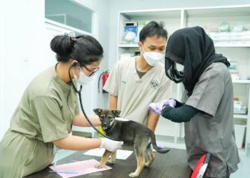 Mulai September ini Rumah Sakit Hewan Unpad Buka untuk Umum