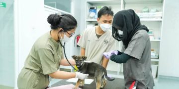 Mulai September ini Rumah Sakit Hewan Unpad Buka untuk Umum
