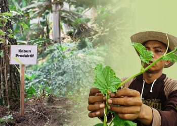 “Hijaukan Bumi, Sejahterakan Umat” Program Wakaf Produktif Wakaf Salman