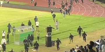 Ketua Umum Viking Persib