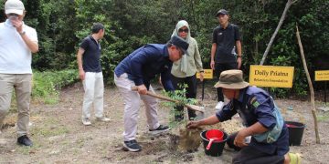 belantara foundation