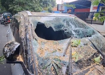 pohon tumbang di cisadena