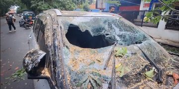 pohon tumbang di cisadena