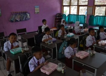 program makan bergizi gratis