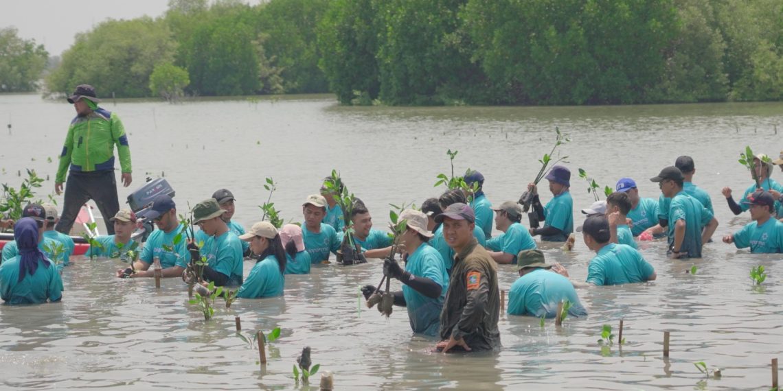 Bio Farma Menanam 3.500 Batang Pohon Bakau