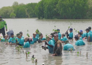Bio Farma Menanam 3.500 Batang Pohon Bakau
