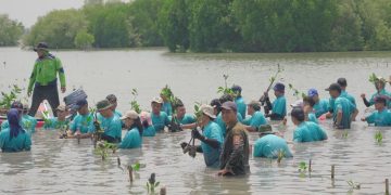 Bio Farma Menanam 3.500 Batang Pohon Bakau
