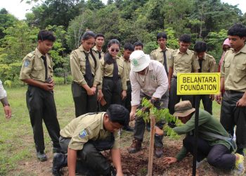 belantara foundation