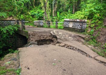 pergerakan tanah di cianjur