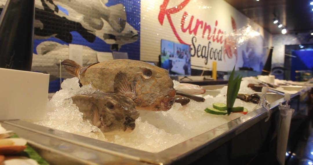 Ikan Monster Kudu-kudu jadi Hidangan Istimewa