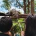 lembang park zoo