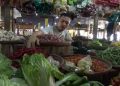 harga cabai rawit