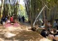 pasar awi campernik