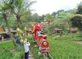 atraksi barongsai