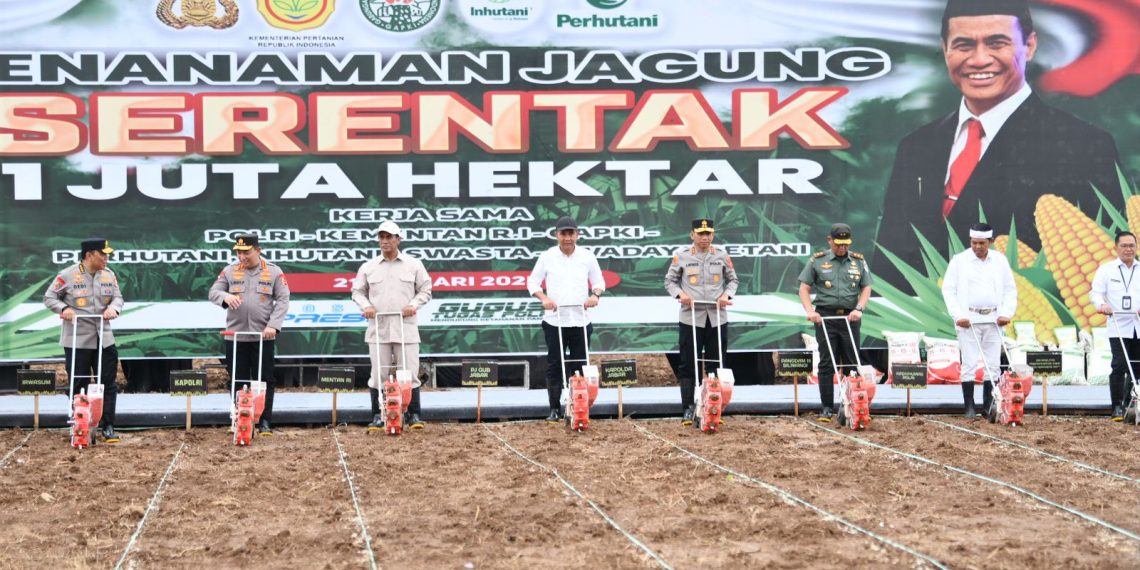 Gerakan Penanaman Jagung Serentak 1 Juta Hektare.