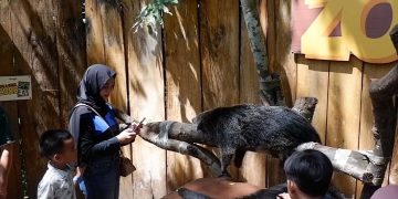 Kebun Binatang Bandung Dipadati 1.500 Orang/hari