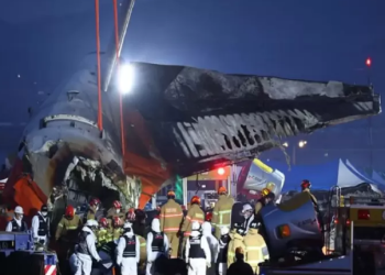 Kotak Hitam Jeju Air jadi Harapan Ungkap Penyebab Kecelakaan