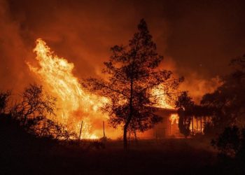 Mengenal Santa Ana Penyebab Kebakaran Los Angeles