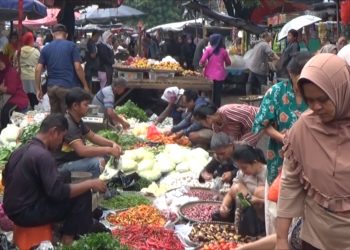 harga cabai melonjak